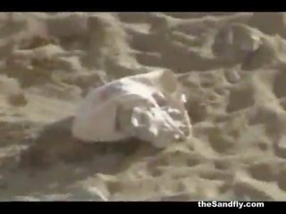 Thesandfly amator plaja outstanding sex!